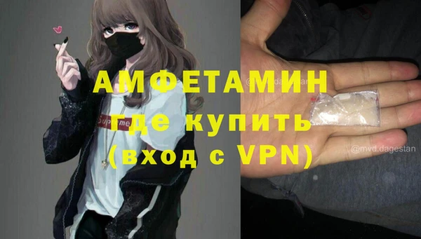 сатива Няндома