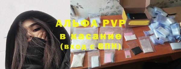 сатива Няндома