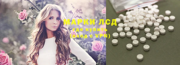 сатива Няндома