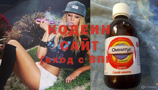 сатива Няндома