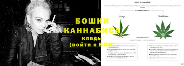 сатива Няндома