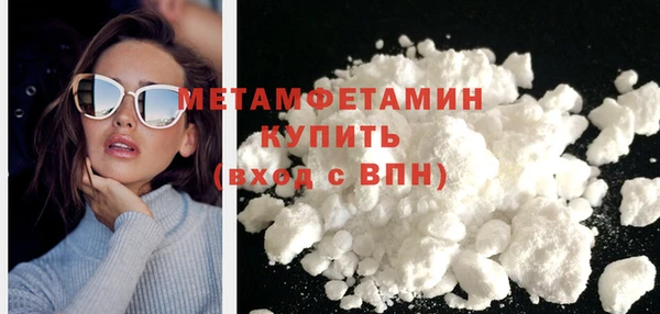 сатива Няндома