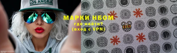 сатива Няндома