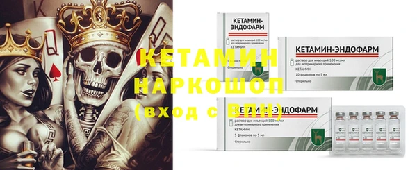 сатива Няндома
