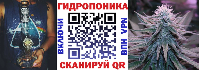 Бошки марихуана MAZAR  Купить где  Североморск 